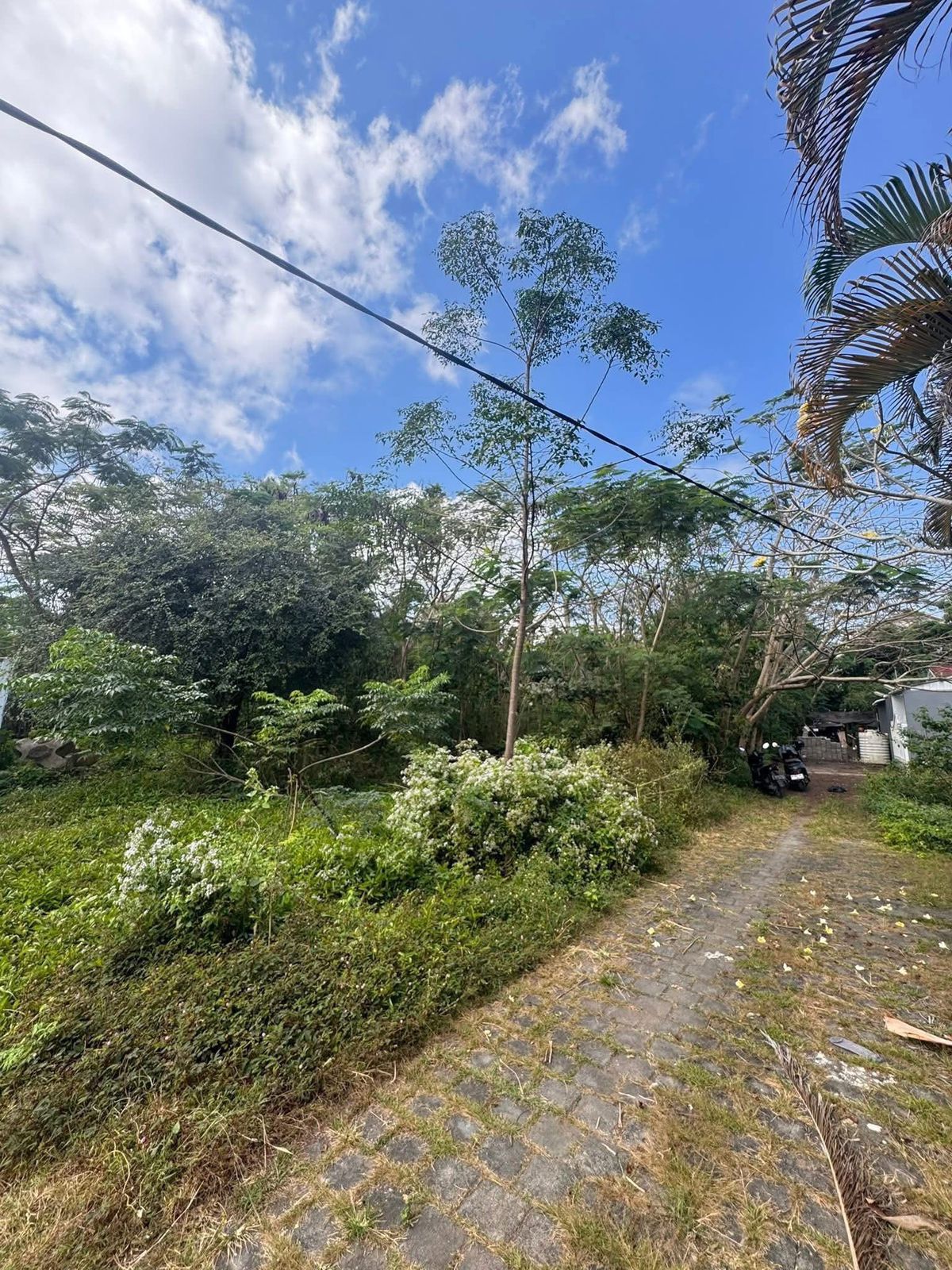 Properti terdaftar untuk dijual atau disewa - Tanah Siap Bangun Di Pecatu Area Villa Premium