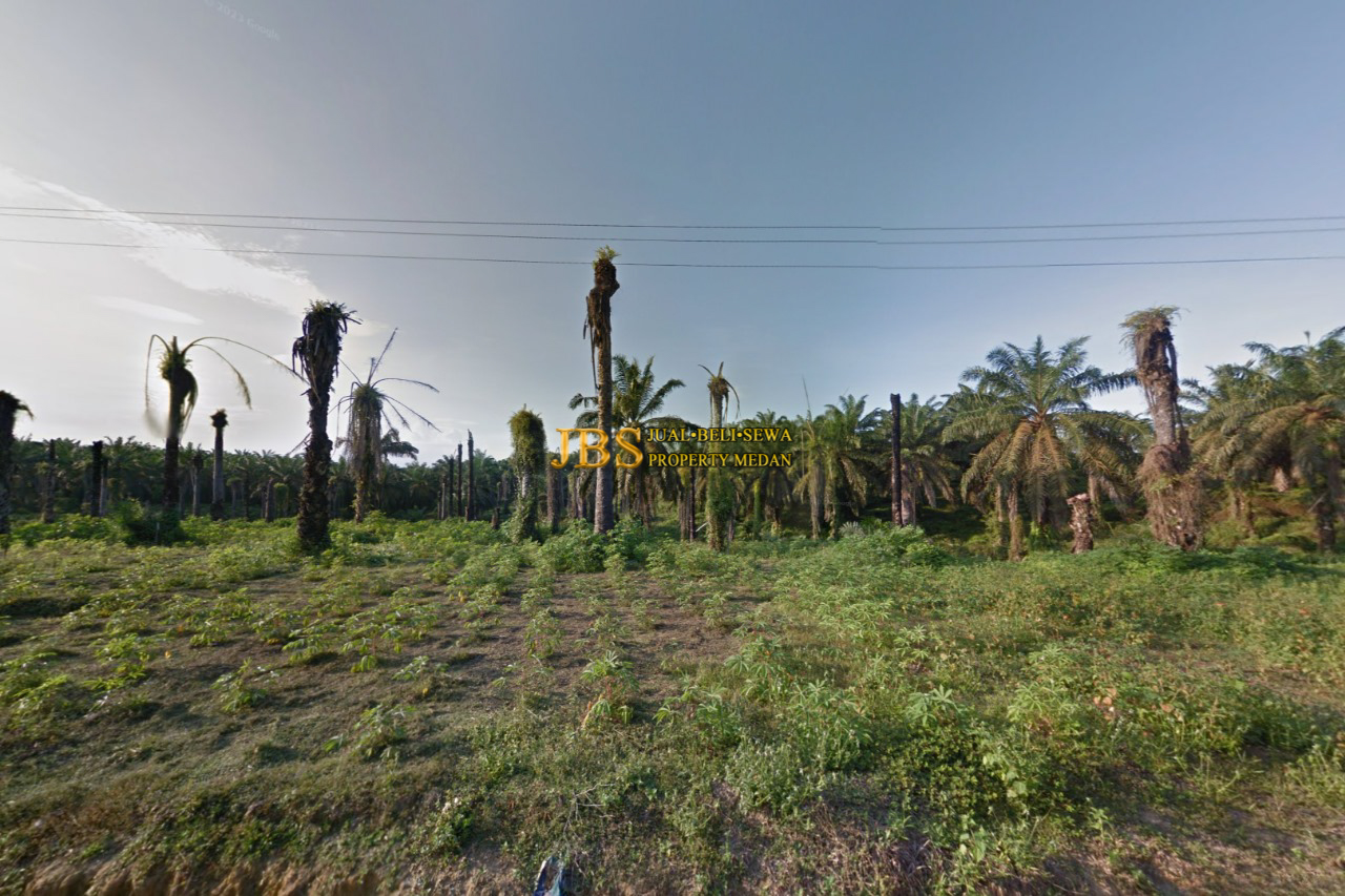 Properti terdaftar untuk dijual atau disewa - Dijual Kebun Sawit Daerah Gohor Lama (+/-13 Km Jl. Stabat - Banda Aceh) - Langkat