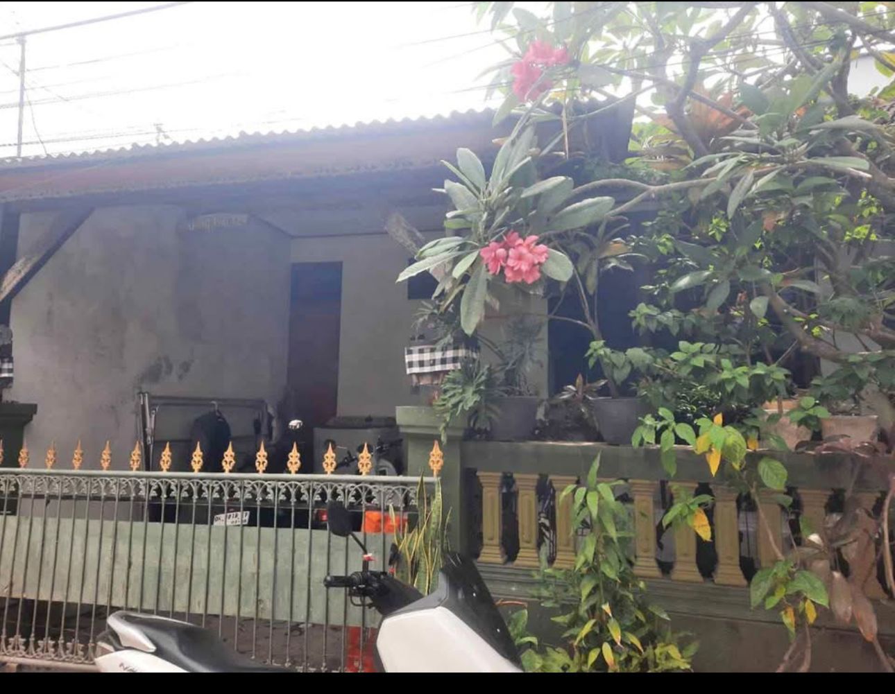 Properti terdaftar untuk dijual atau disewa - Rumah Siap Huni Kawasan Strategis Denpasar Barat 