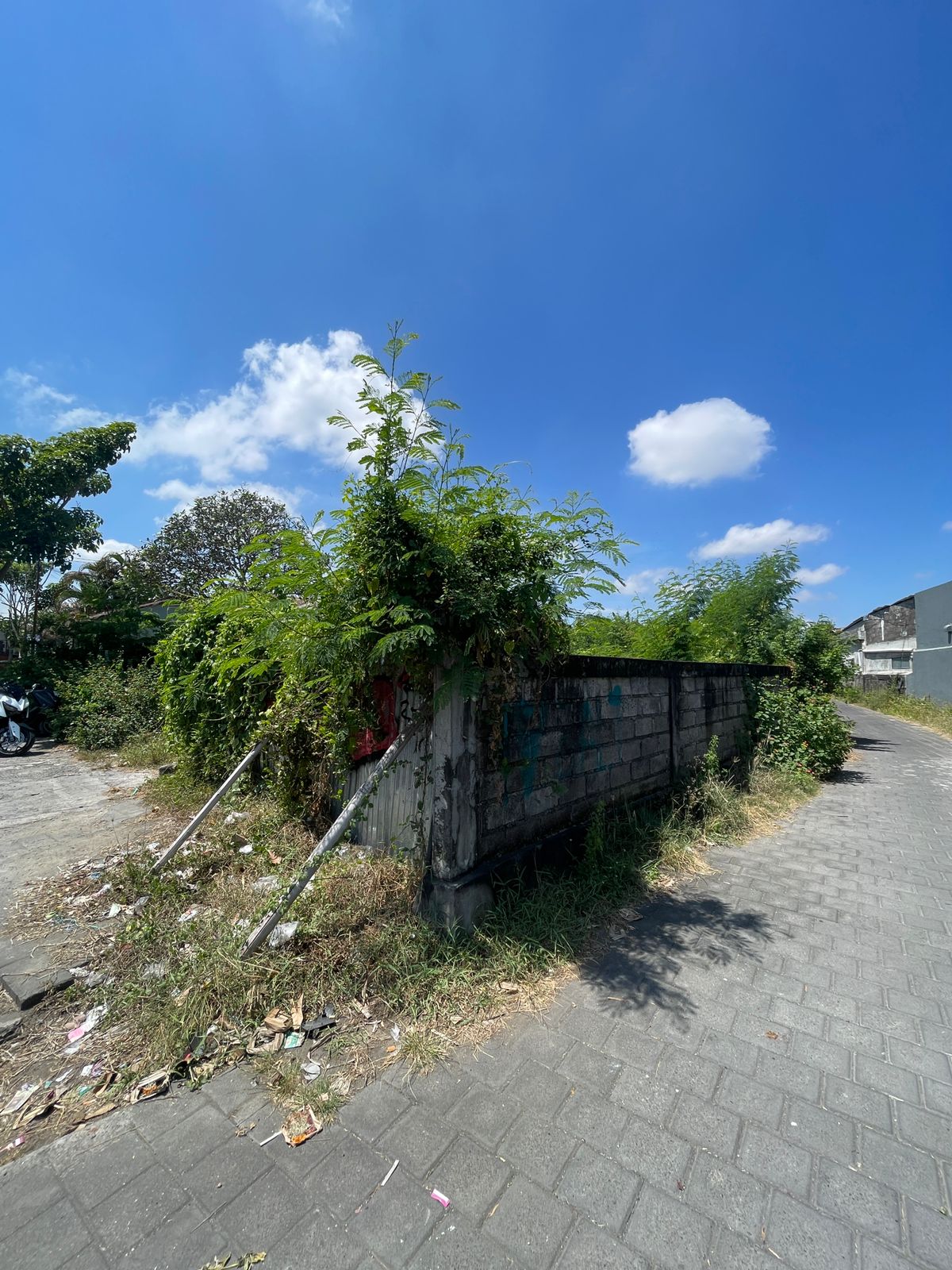 Properti terdaftar untuk dijual atau disewa - Lahan Premium Cocok Untuk Supermarket & Komersial Di Jalan Utama Canggu 