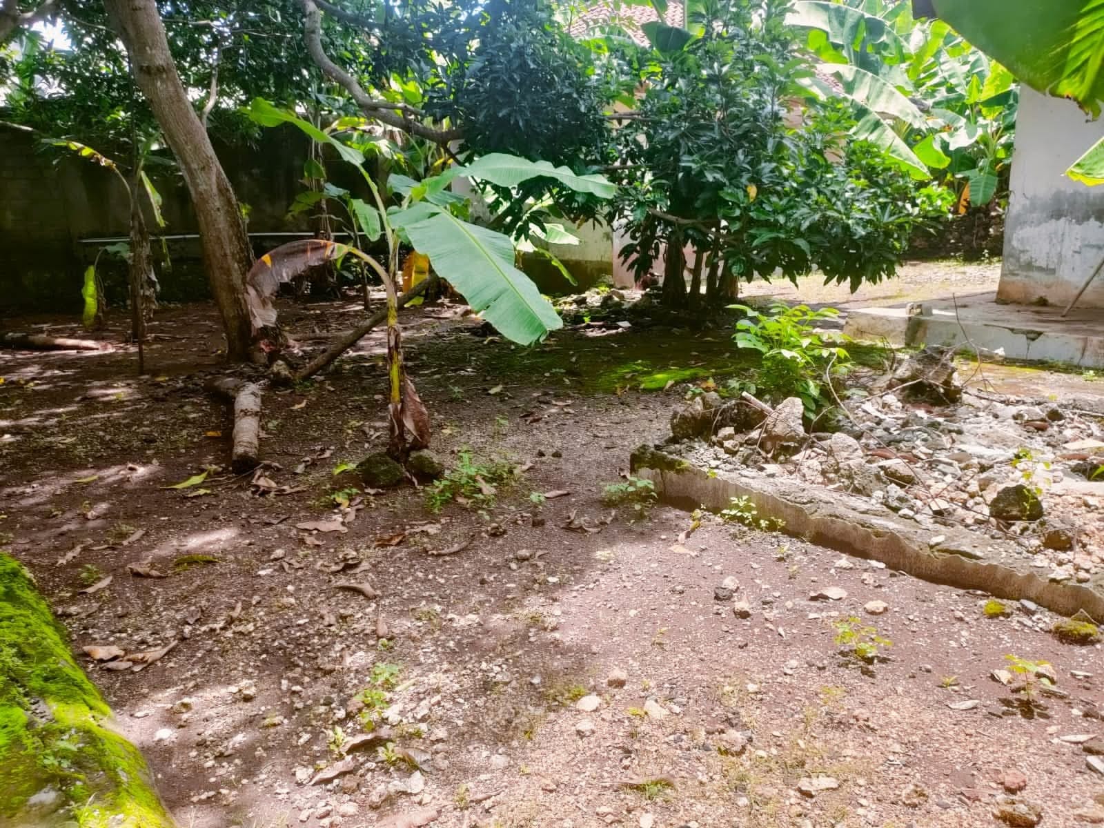 Properti terdaftar untuk dijual atau disewa - Tanah Strategis Peluang Investasi Dekat Pantai Balangan 