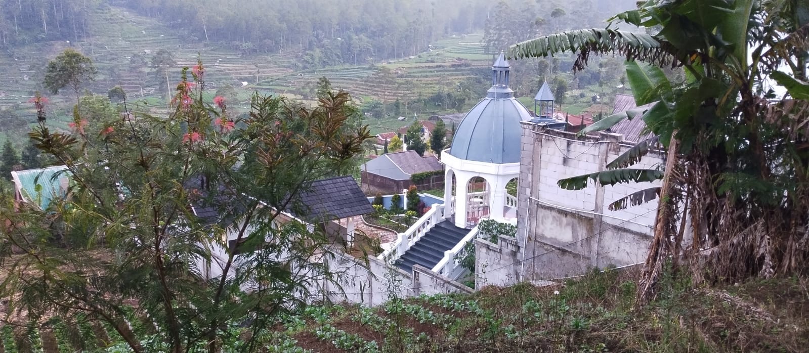 Properti terdaftar untuk dijual atau disewa - Tanah Produktif Cocok Untuk Villa Di Ciwidey Rancabali 