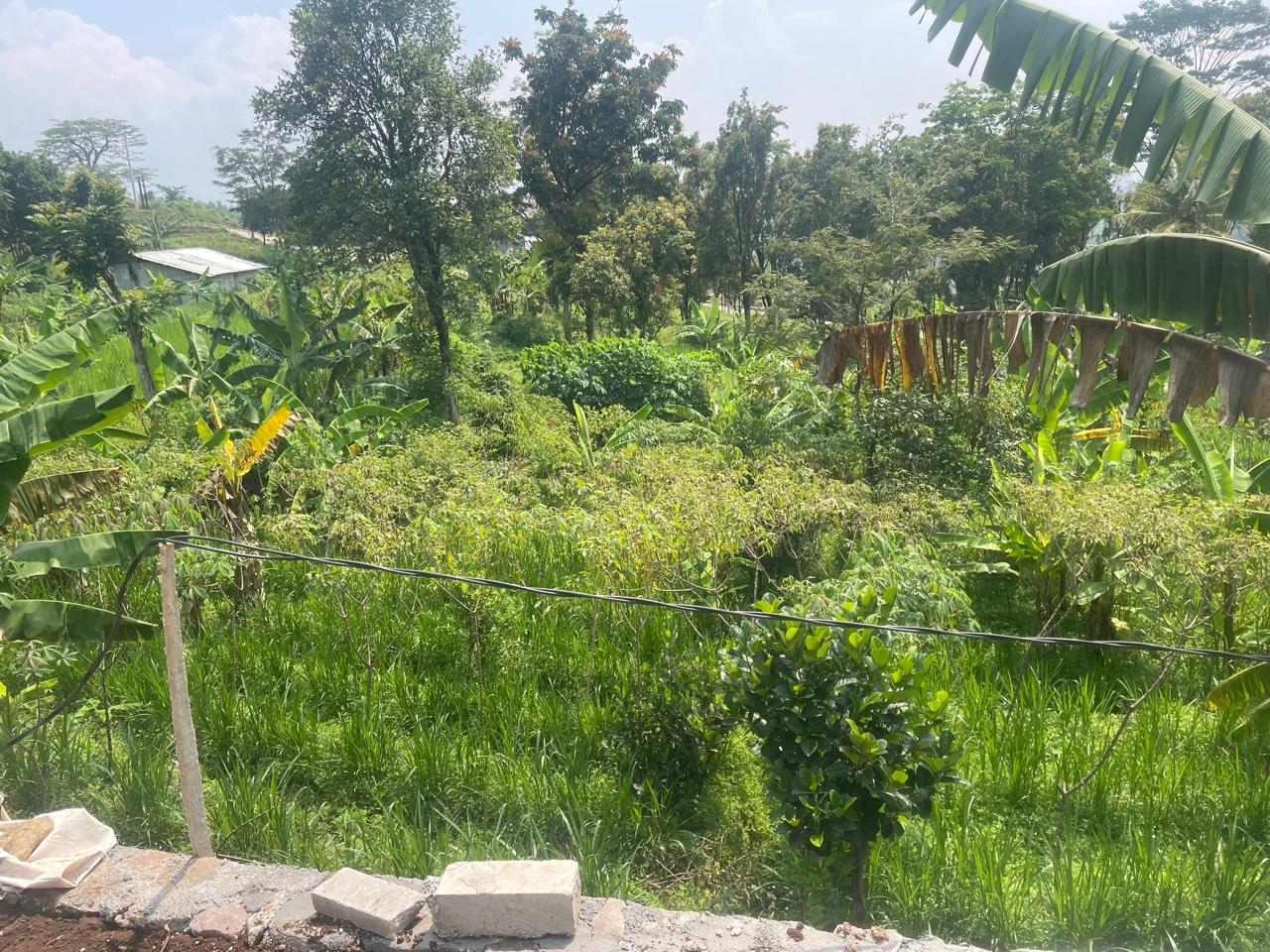 Properti terdaftar untuk dijual atau disewa - Tanah Pontensial 345 M2 Jatiroke, Jatinangor. Harga Investor