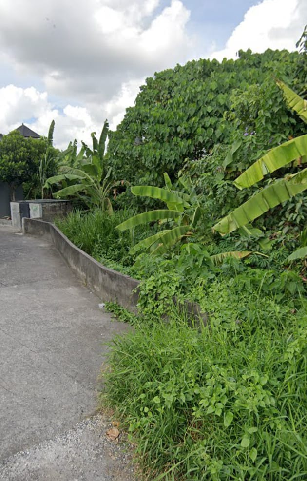 Tanah Premium Stategis Padonan Canggu – Zona Kuning, Cocok Villa & Investasi
