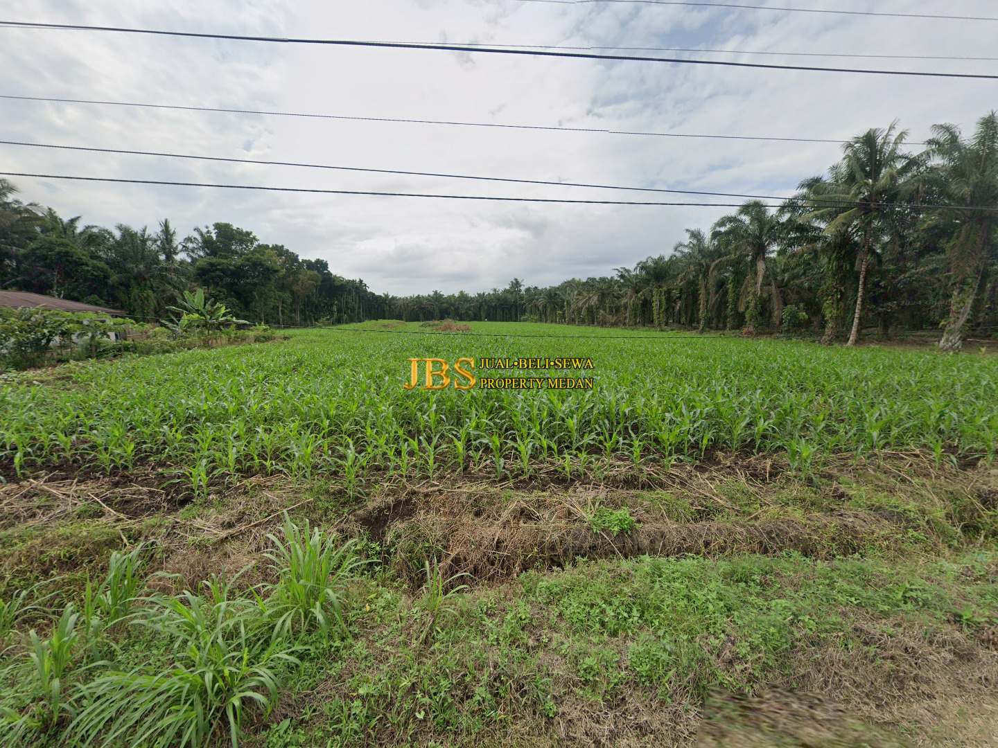 Jual Tanah Kosong di Daerah Sei Mincirim Jalan SMK 1/Jl. Macan Dekat Jl. Glugur Rimbun Kec. Sunggal