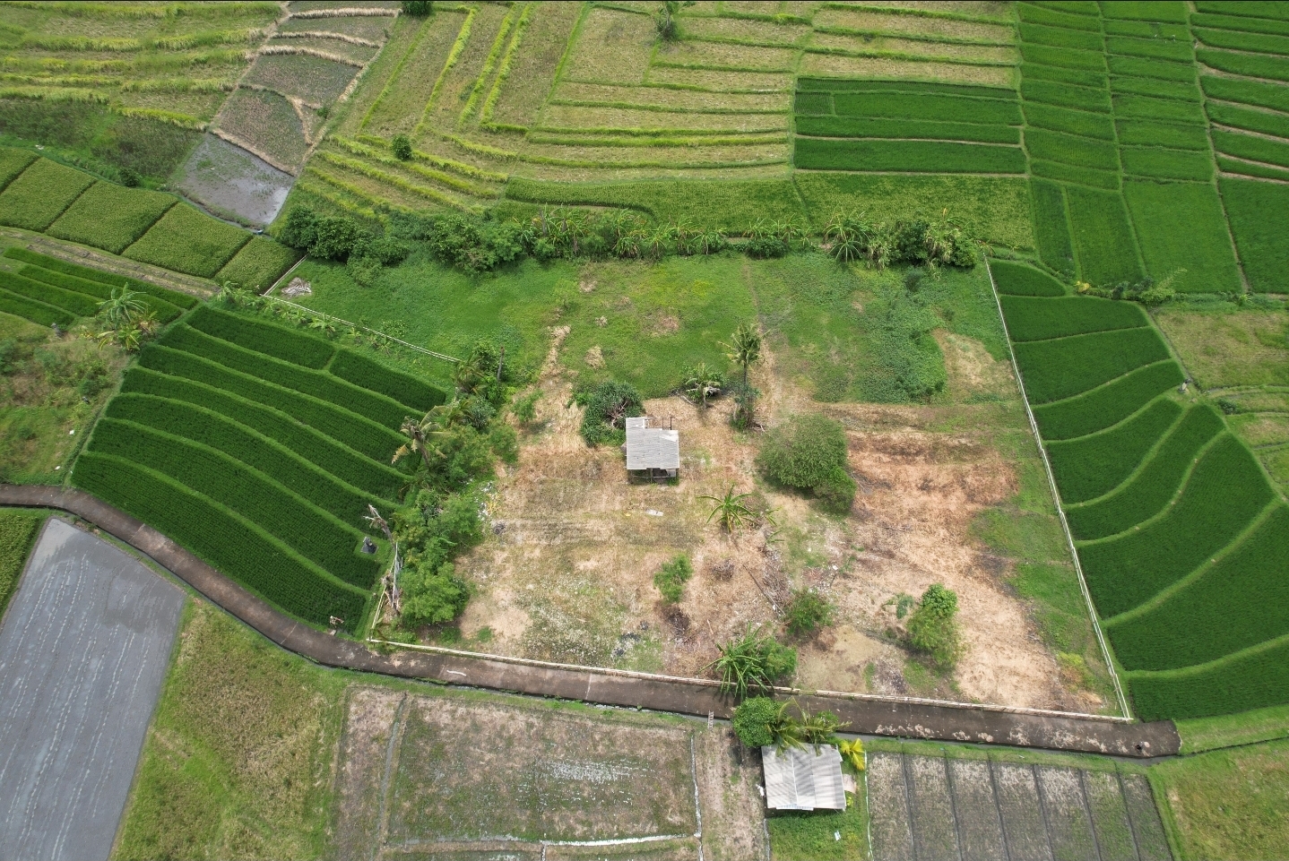 Dijual tanah lokasi beraban nyanyi tabanan bali