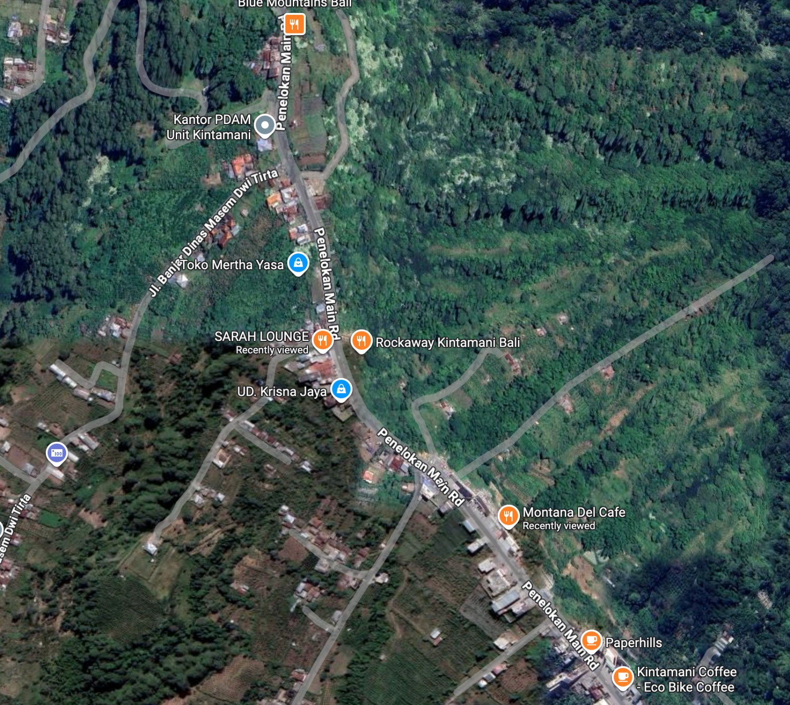 Tanah Pinggir Jalan Utama Penelokan Kintamani - 700 Meter Dari Starbucks Kintamani | PRPK1