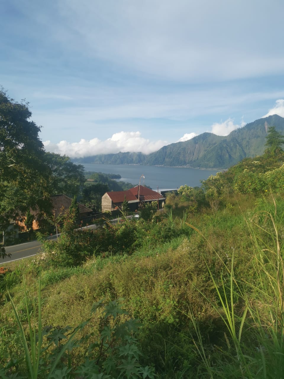 FOR SALE | TANAH 12,1 ARE DI KINTAMANI • VIEW DANAU & PEGUNUNGAN | PRPK2