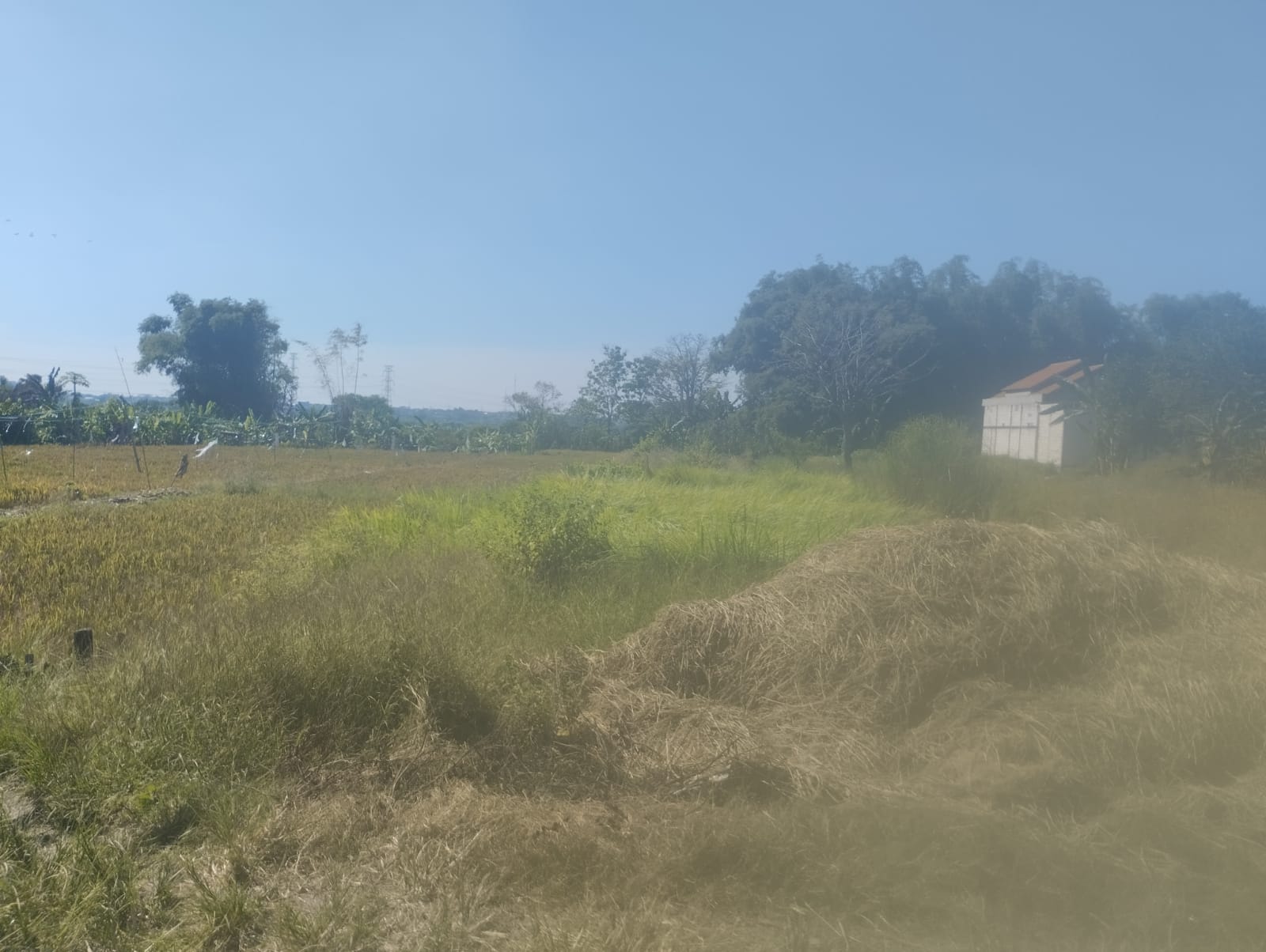 Tanah kavling