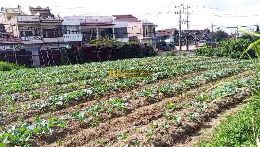 Dijual Tanah Kosong di Daerah Berastagi Jalan Jamin Ginting - Sempajaya Kab. Karo