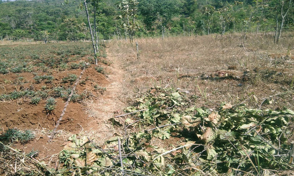 TANAH UNTUK PERUMAHAN ATAU PERMUKIMAN DI ARJASARI BANJARAN BANDUNG