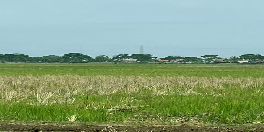 TANAH UNTUK INDUSTRI DAN PERGUDANGAN DEKAT PELABUHAN INTERNATIONAL PATIMBAN SUBANG