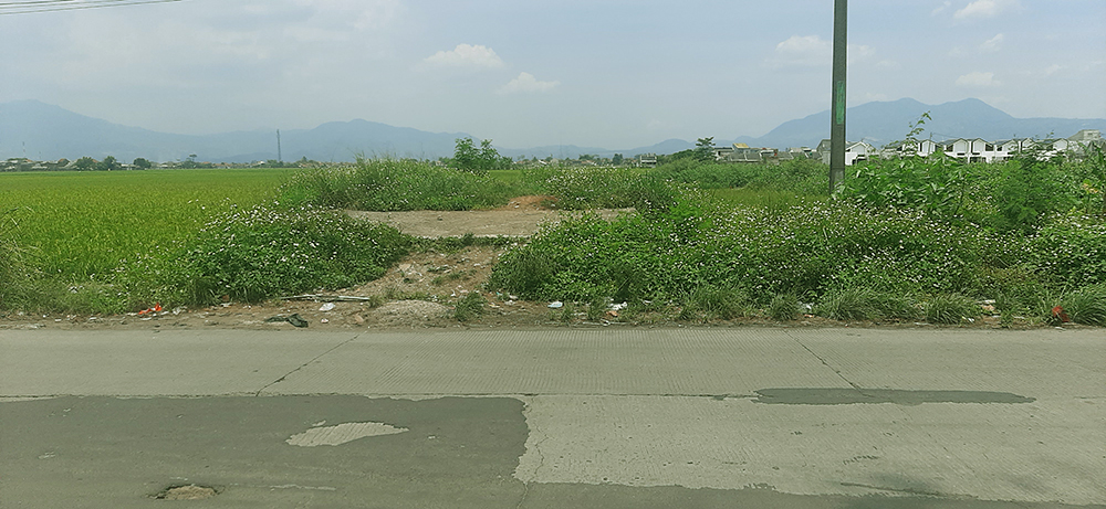 TANAH UNTUK PERUMAHAN DAN PERMUKIMAN DI JALAN RAYA MAJALAYA-RANCAEKEK KAB. BANDUNG