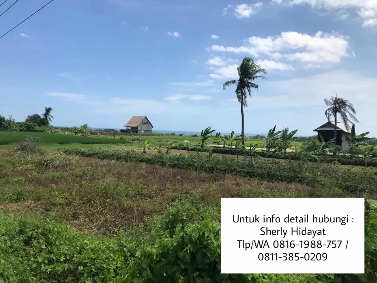 Dijual Tanah Kosong View Sawah, Gunung , Laut di Pantai Kelating, Tabanan, Bali