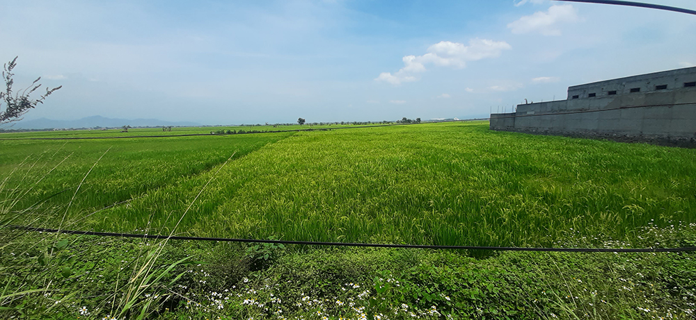 TANAH UNTUK PERUMAHAN DAN PERMUKIMAN DI JALAN RAYA MAJALAYA-RANCAEKEK KAB. BANDUNG