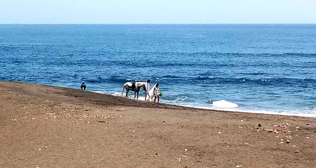 Tanah Bech Front Sabah Blahbatuh Gianyar Bali