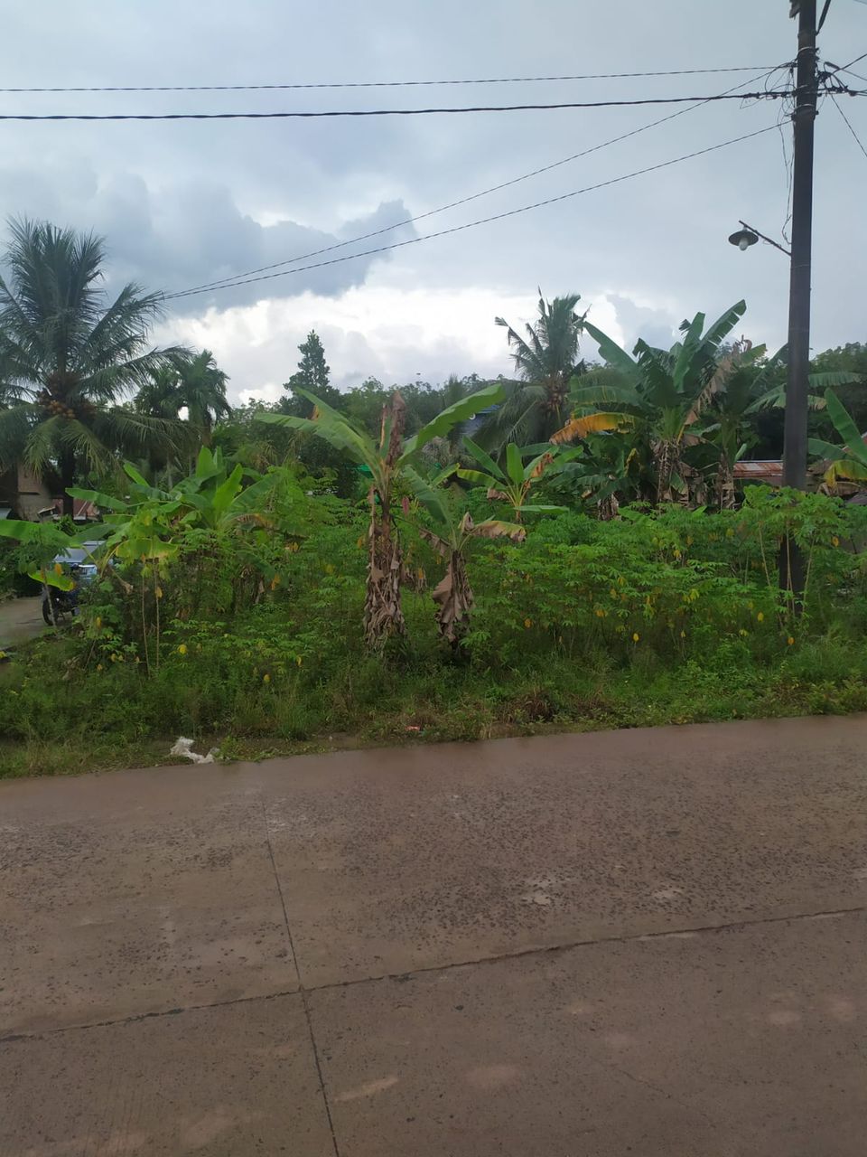 Jual Murah Tanah Km 16 Banyuasin