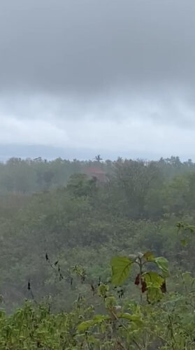 Dijual Tanah 550 Are Ped Sental Kangin Nusa Penida Dekat Pelabuhan Buyuk