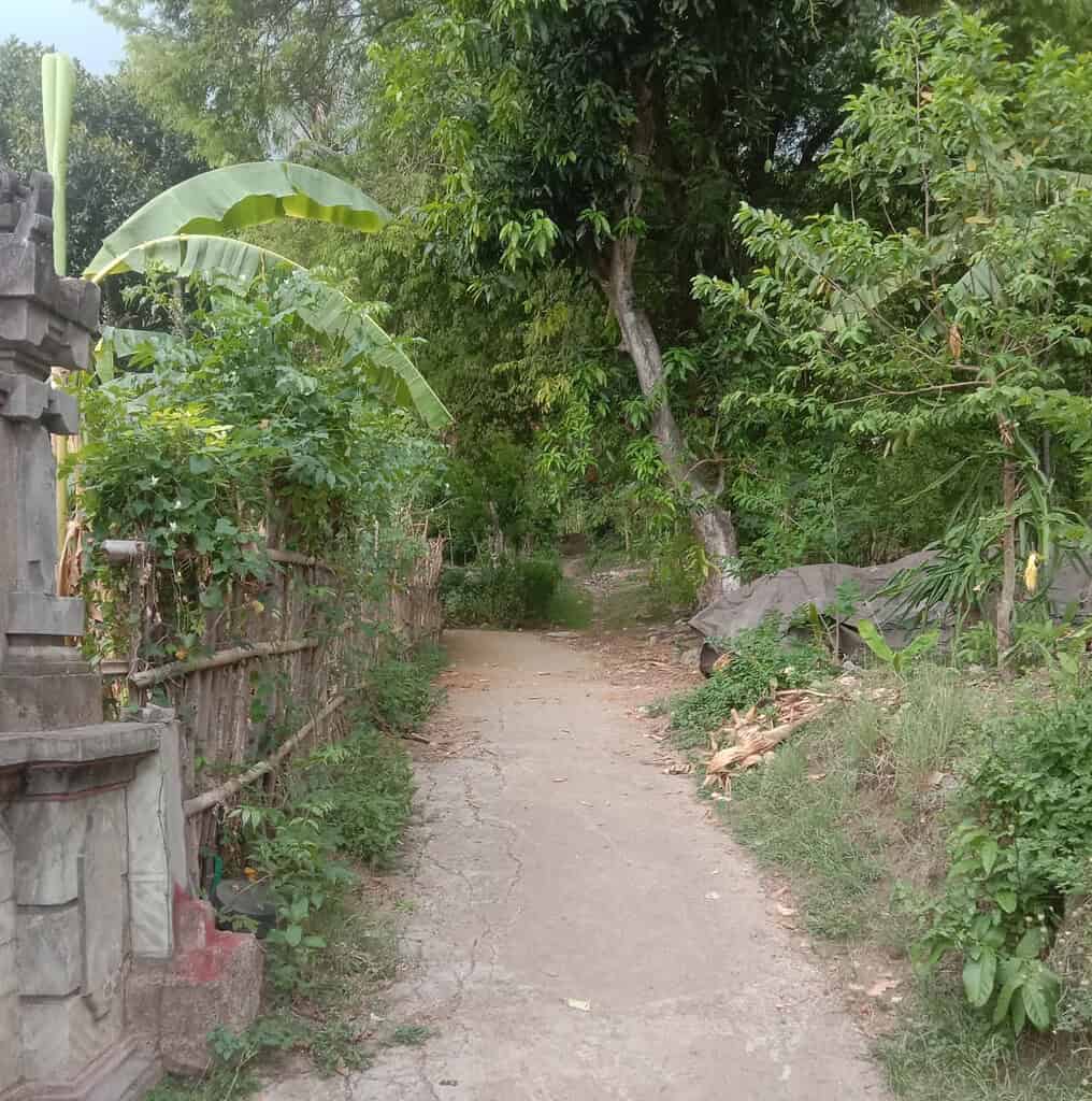 Jual Tanah Dataran Tinggi 39 Are Seririt Buleleng