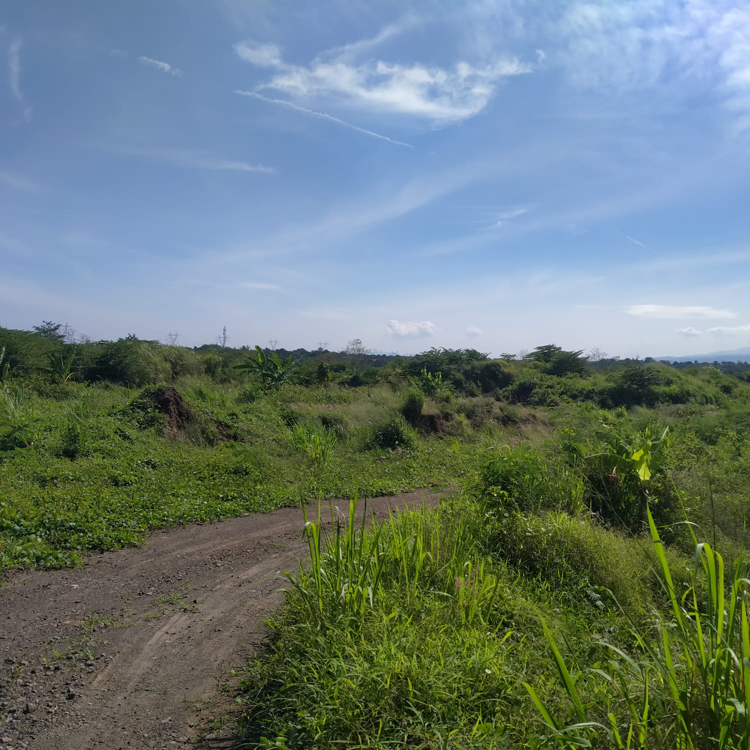 Tanah datar ex tambang pasir